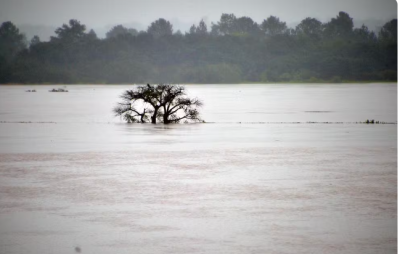 Imagem da notícia Idoso morre afogado enquanto pescava em rio de Aparecida do Taboado